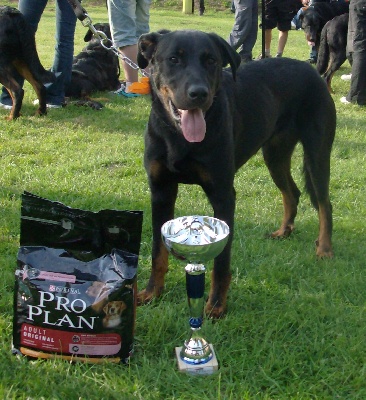 du Trefle Noir - Journée beauceronne de Conty (80).